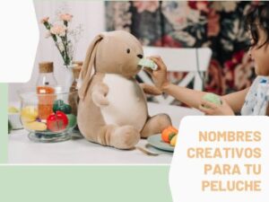 Nombres Creativos Para Tu Peluches