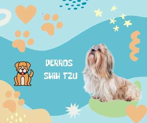 Nombres Shih Tzu