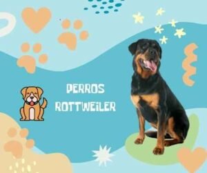 Nombres Rottweiler