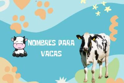 Nombres Vacas