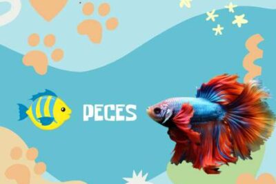 nombres Peces