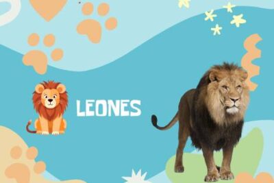 Nombres Leones