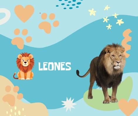 Nombres Leones