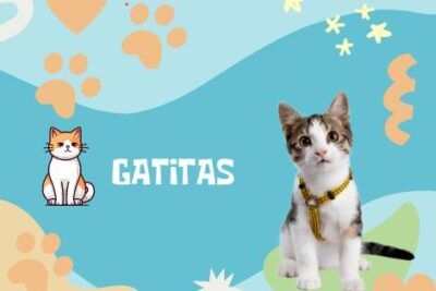 Nombres Gatitas