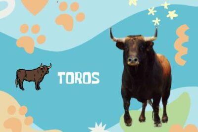 Nombres Toros