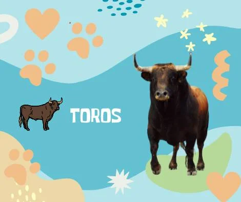 Nombres Toros
