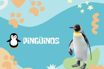 Nombres Pingüinos