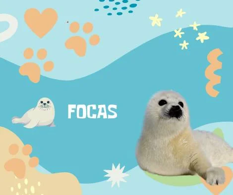 Nombres Focas