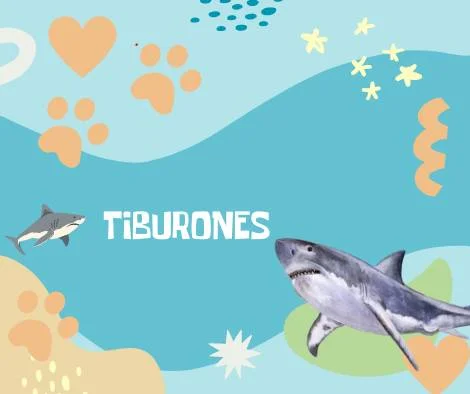 Nombres Tiburones