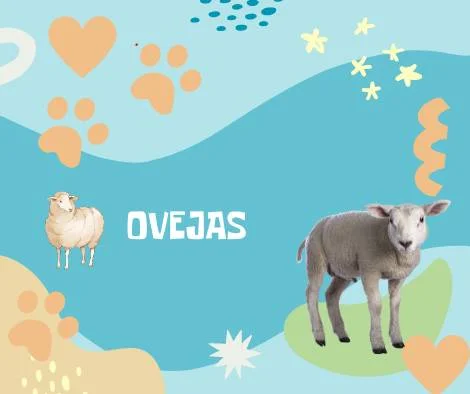 Nombres Ovejas