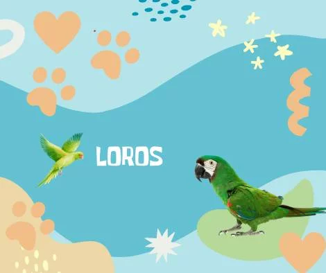 Nombres Loros