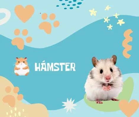 Nombres Hámster