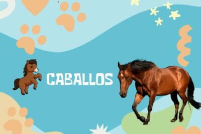 Nombres Caballos