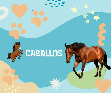 Nombres Caballos