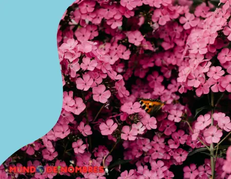 Flores Z