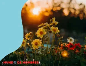 Flores S